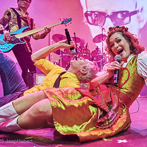 Die Darmstädter Hübsch